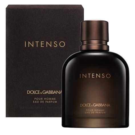 dolce and gabbana q intense.